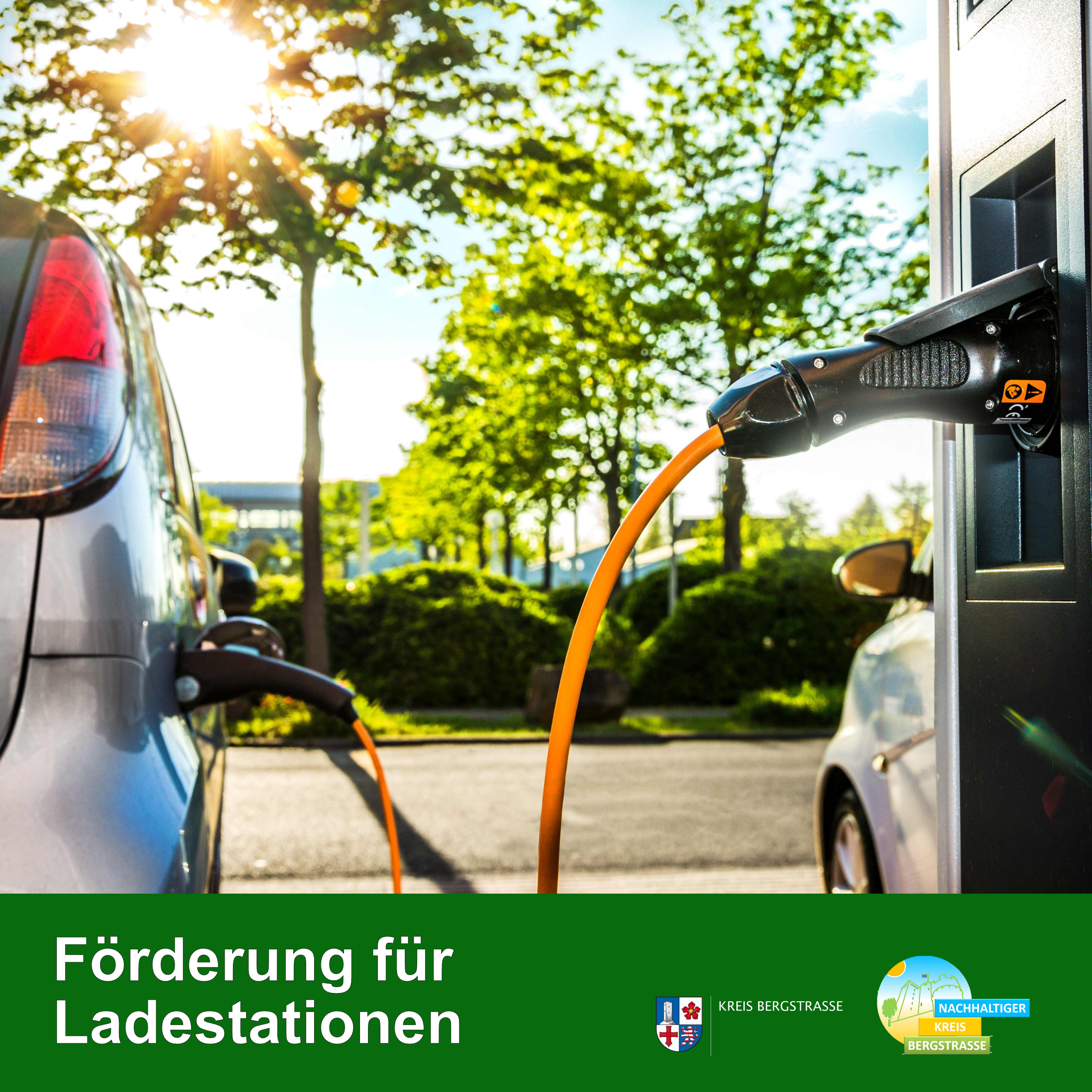 Bild: stock.adobe.com / Petair Bild: stock.adobe.com / Petair